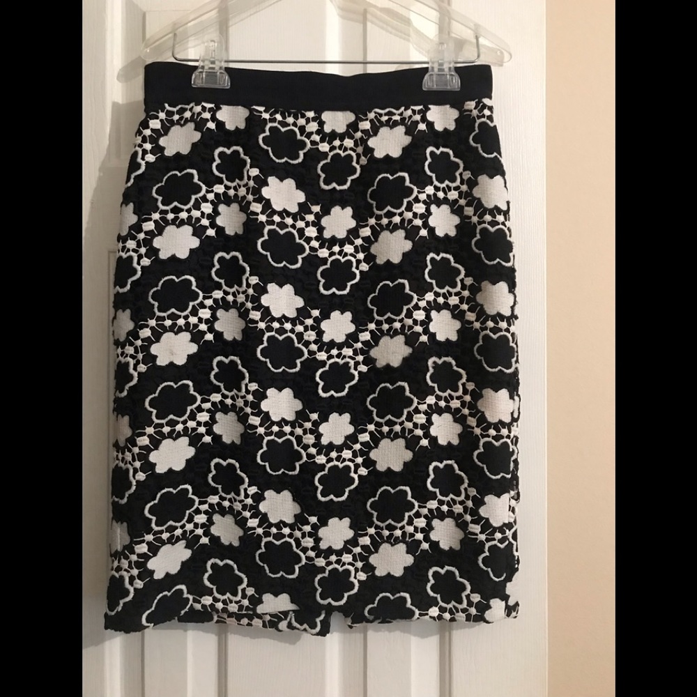 Chic Skirt Ann Tylor